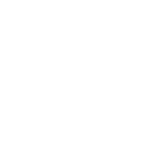 LA MUSICA CHE GIRA